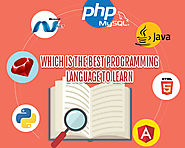 Which Is The Best Programming Language To Learn For Web Development Services?