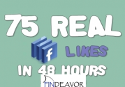 I'll give you 75 Facebook Likes in 48 hours for $15 : soferauto - Findeavor