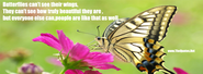 Facebook Cover Image - Butterflies can not see their wings - TheQuotes.Net