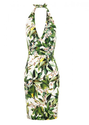 Dolce & Gabbana Cream & Green Crepe Lemon Blossom Print Dress