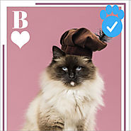 Katze / ⭐ Leonardo diKatzio