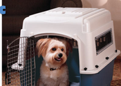 Best Dog Crates|Kennels Review 2014