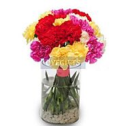 Sweet Carnations