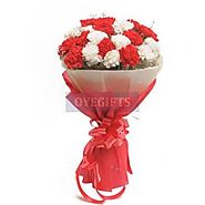 Red N White Carnations
