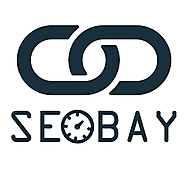 SeoBay India - Best SEO Services Company in Jaipur, India