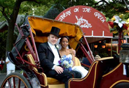 New York Carriage Company - Central Park Horse Drawn Carriage Rides