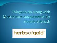 Things to do along with muscle care supplements