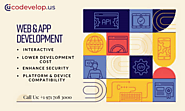 Web & Mobile App Development