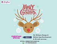 Wonderful Christmas Bonanza - 30% Off on All Web Services