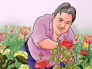 How to Garden (with Pictures) - wikiHow