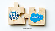 Things You Need to Consider while Integrating WordPress and Salesforce