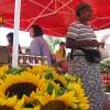 Union Square Farmers Market - Somerville