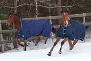 Best Winter Horse Blankets 2014