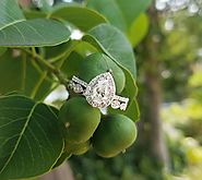 Design Your Own Diamond Engagement Rings Style Online in AL