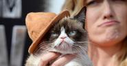 Grumpy Cat na MTV Movie Awards