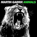 Martin Garrix-Animals