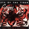 Survivor-Eye of the Tiger