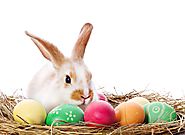 Easter Bunny Pictures, Clipart, Vectors & Images To Download For Free | Happy Easter Images Quotes