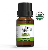 Buy Now! 100% Organic Tea Tree Essential Oil In Bulk