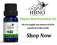 Shop Now! Bulk Thyme Red Essential Oil at Wholesale Price
