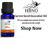 Essential Natural Oil — Shop Now! Pure Carrot Seed Essential Oil Online at...