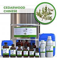 Shop Cedarwood Chinese Essential Oil at Wholesale Prices