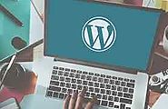 Wordpress Development Company in India