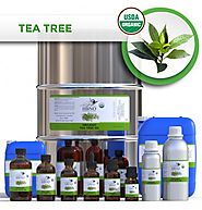 Buy 100% Organic Tea Tree Essential Oil In Bulk-Essential Natural Oils