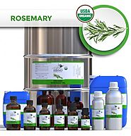 Shop Now! Organic Rosemary Essential Natural Oils at Best Price