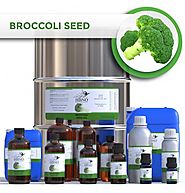 Shop Now! Broccoli Seed Oil at an Affordable Price