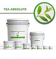 Buy Now! Tea Absolute Essential Natural Oils Online at Best Price
