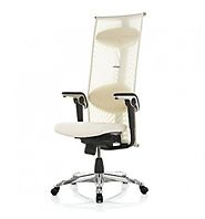 HAG H09 Inspiration Chair - Executive Office Chair - Design winner