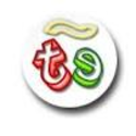 TodoEle.net - Página del profesor de español como lengua extranjera