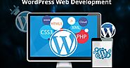 Choose the Best WordPress Web Development Company in India