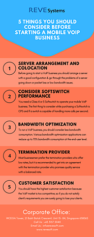 5 Things You Should Consider Before Starting a Mobile VoIP Business