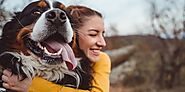 Decoding Canine Bliss: 15 Happy Dog Indicators | DogExpress
