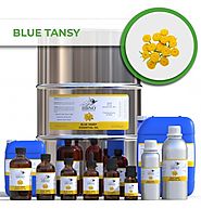 Blue Tansy Essential Oil