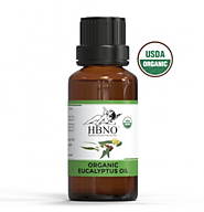Shop Now! Eucalyptus Globulus Essential Oil, ORGANIC at Wholesale from Online Store
