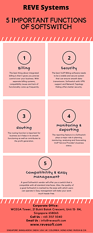 5 Important Functions of Softswitch | REVE Systems