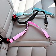 Buy 2 in 1 Secure Dog Seat Belt for Cars - Online Bazaar
