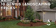 10 Genius Landscaping Tricks - First Fruits Landscaping