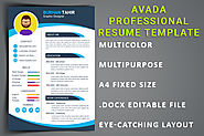 Avada Professional ResumeTemplate free download - MS Word Resume Templates