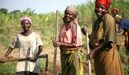 Natural resources as the key to alleviate poverty in Africa