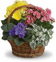Abbotsford Florists - Flowers in Abbotsford BC - Rosebay Florist Ltd.