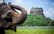 Get A Delightful Experience In Sri Lanka