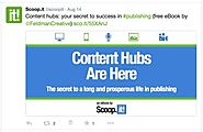 Scoop.it enables professionals and businesses to research and publish content (TheBigBazar.Find The Best Opportunitie...
