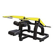 Plate Loaded Dip Machine for Sale, Buy Seated Dip Machine Online | NTaiFitness®