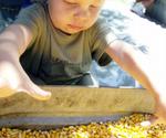 50 Fun things to put in sand and water tables