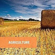 Agriculture Industry Research Reports - Feed Industry Report - Knowledge Sourcing Intelligence