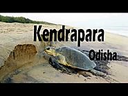 Kendrapara Tourist Place || Odisha Tourism, Tourist Places in Kendrapara, Places to Visit